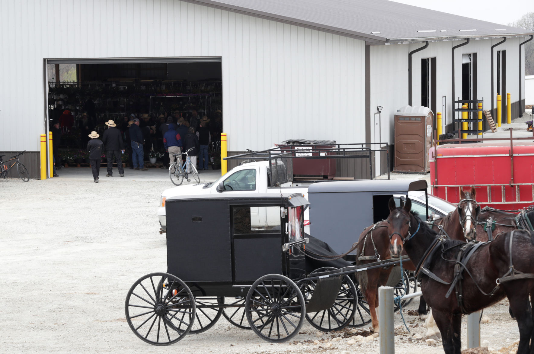Platteville Produce Auction